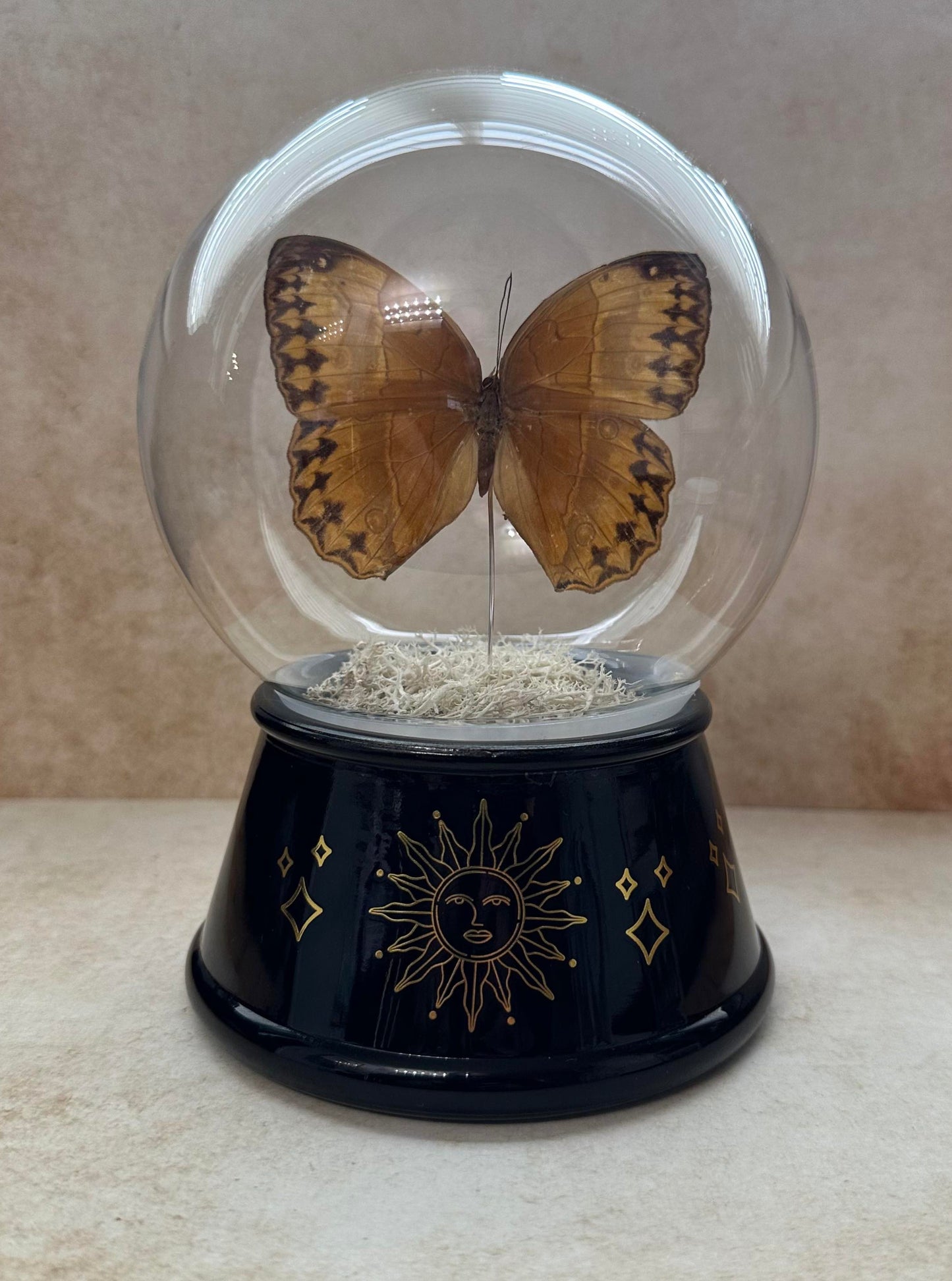 Cream & brown crystal ball butterfly cloche