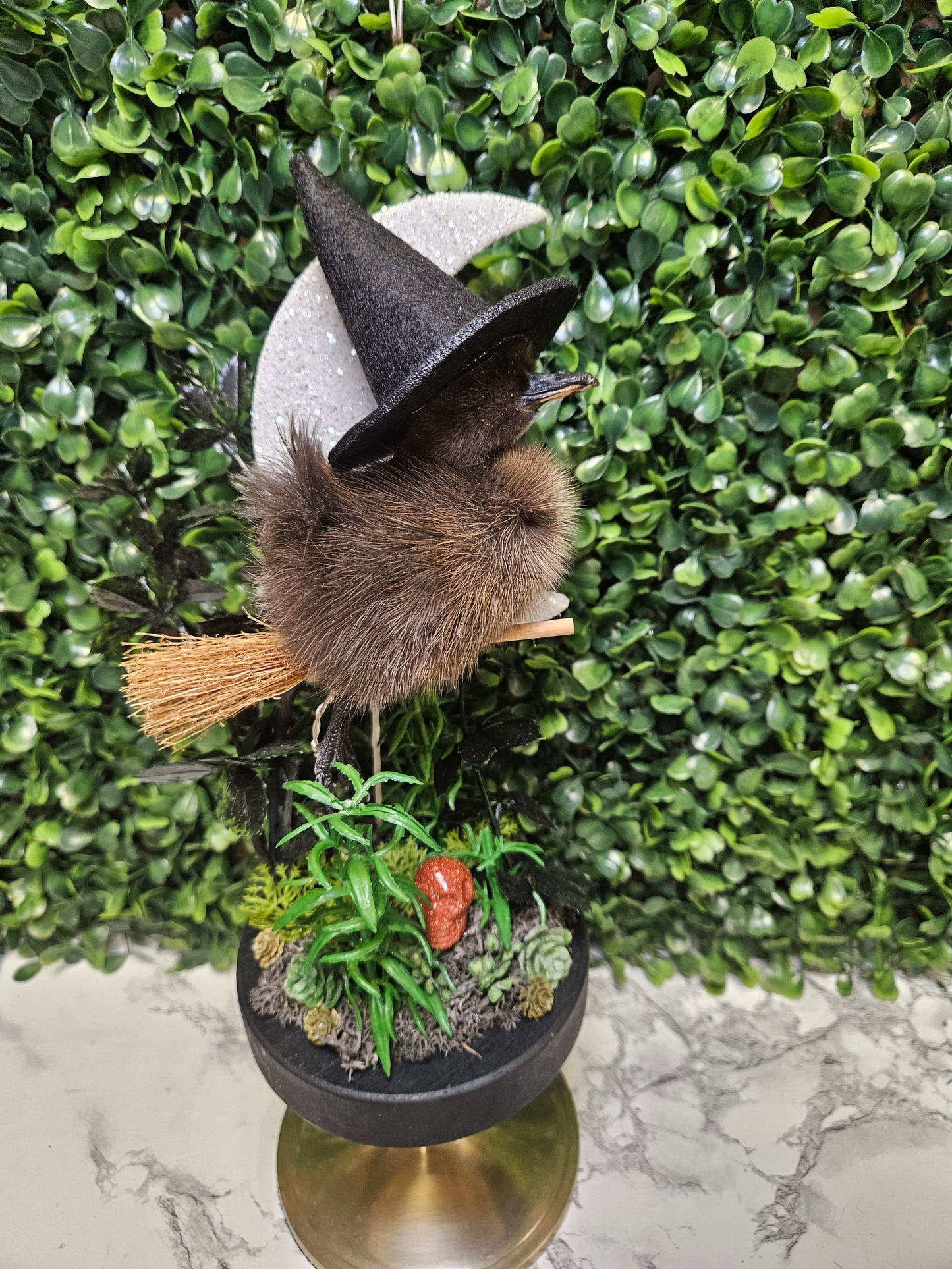 Black Taxidermy flying witch moon duck