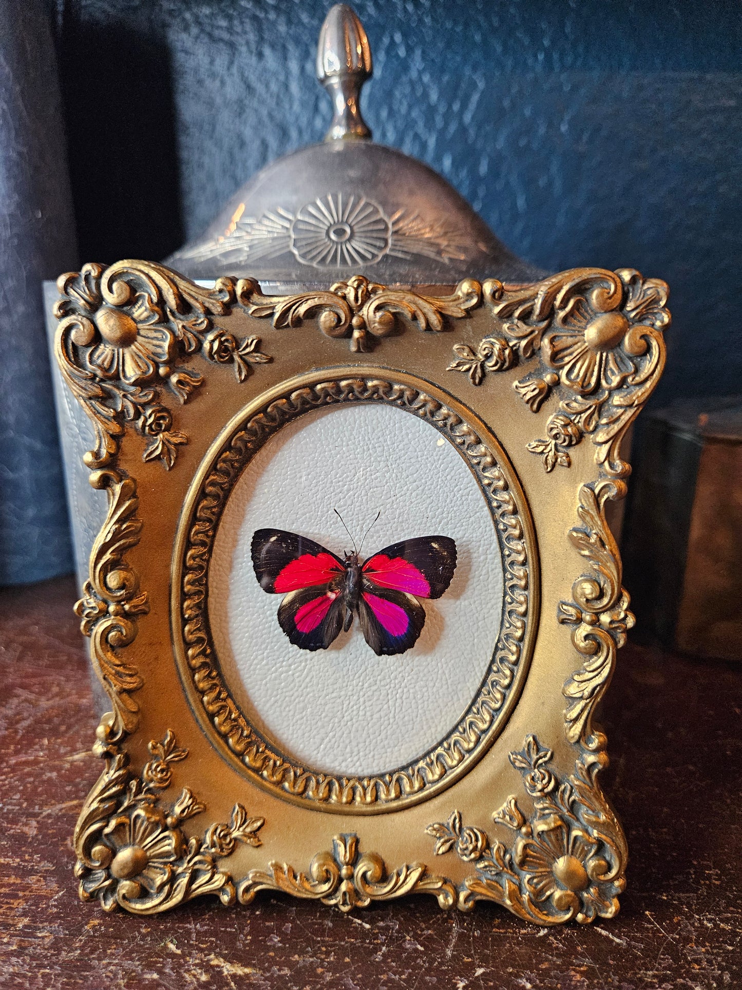 Vintage gold Cameo framed butterfly