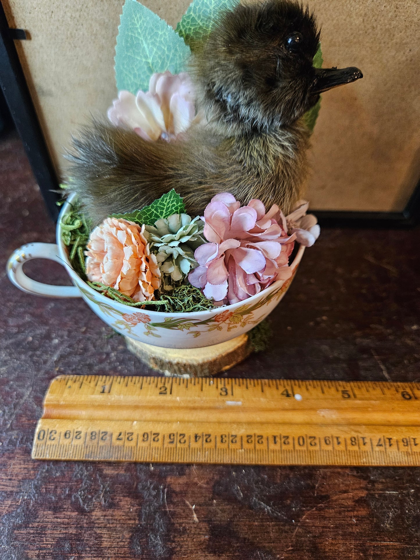 Tea cup taxidermy duckling