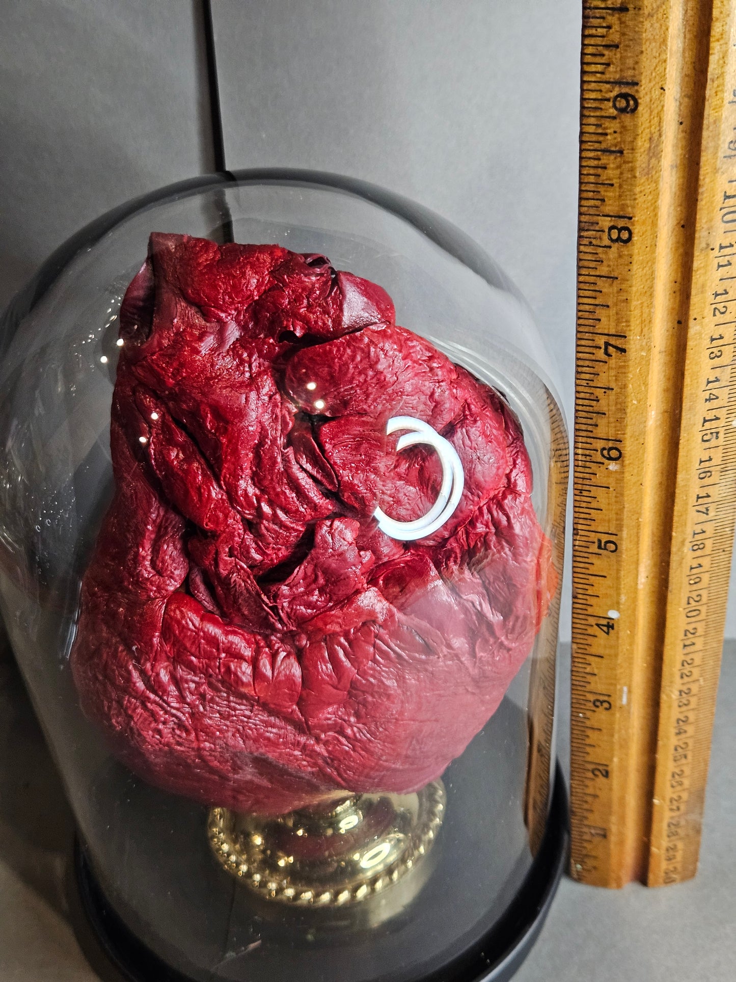 Red mummified cow heart cloche