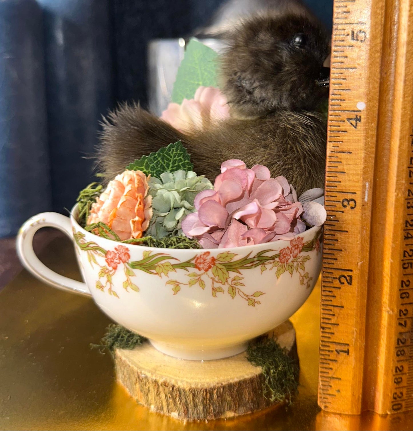 Tea cup taxidermy duckling