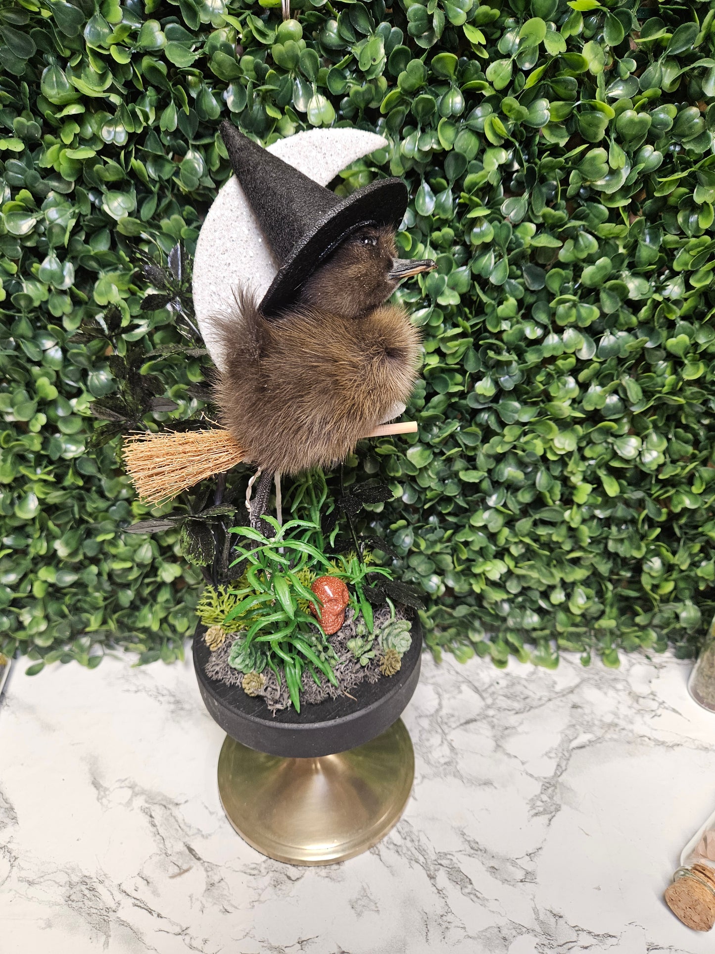 Black Taxidermy flying witch moon duck