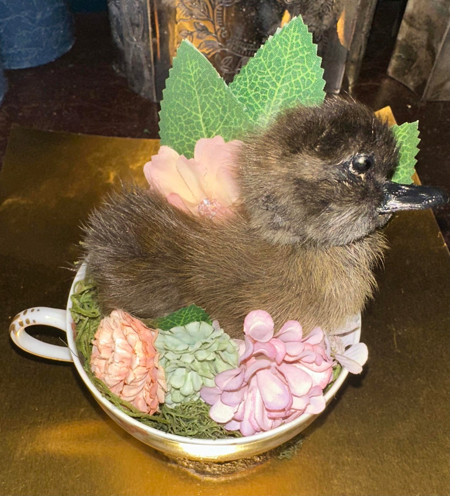 Tea cup taxidermy duckling