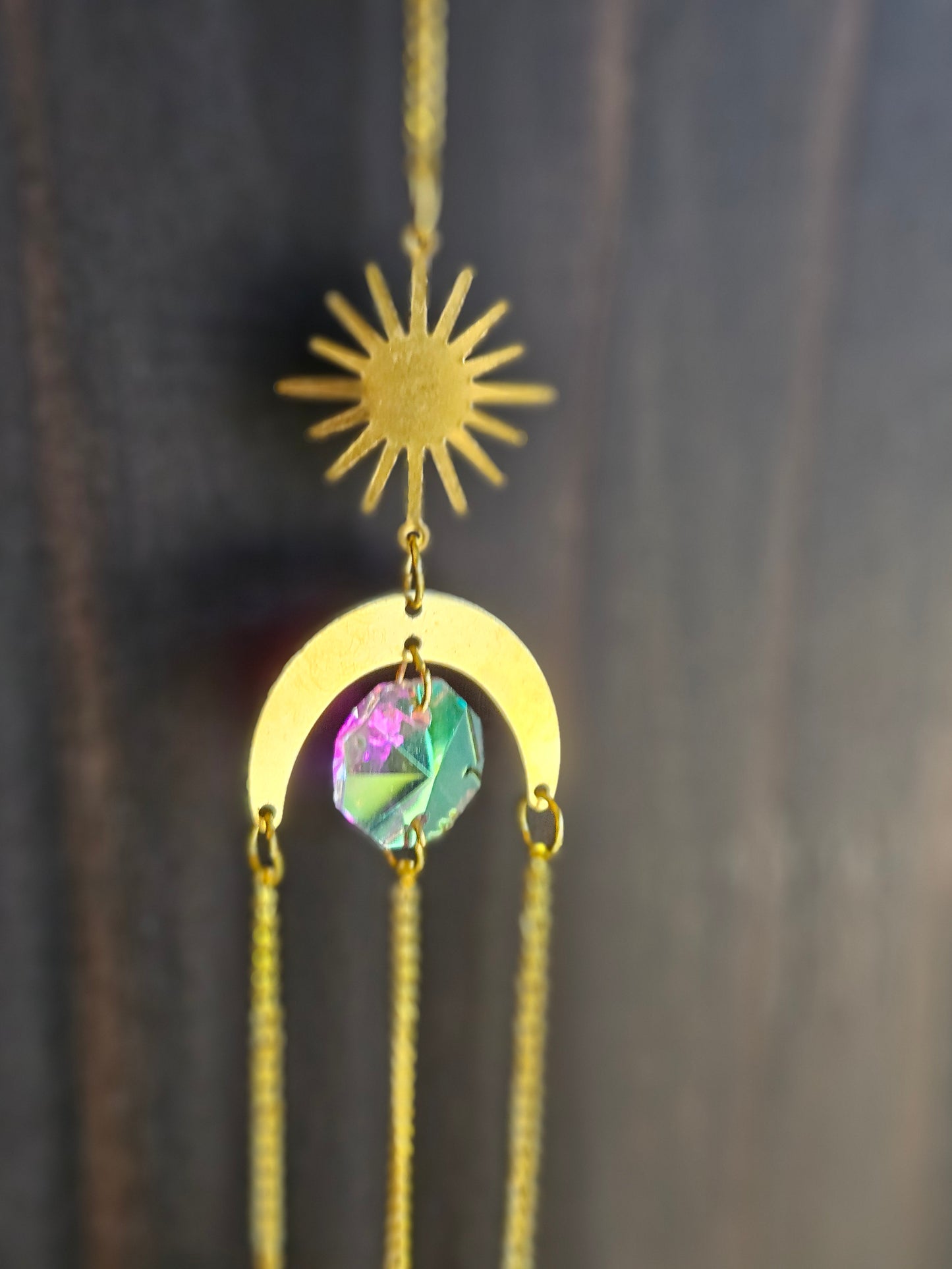 Madagascar Jewel Beetle moon sun catcher