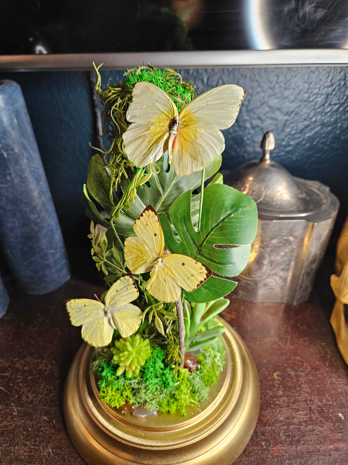 Triple yellow butterfly dome