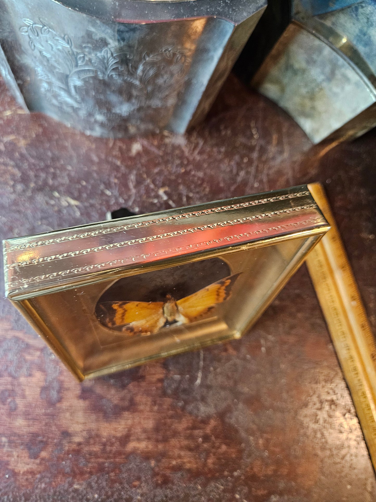 Vintage brass frame orange butterfly with black floral 5x6"