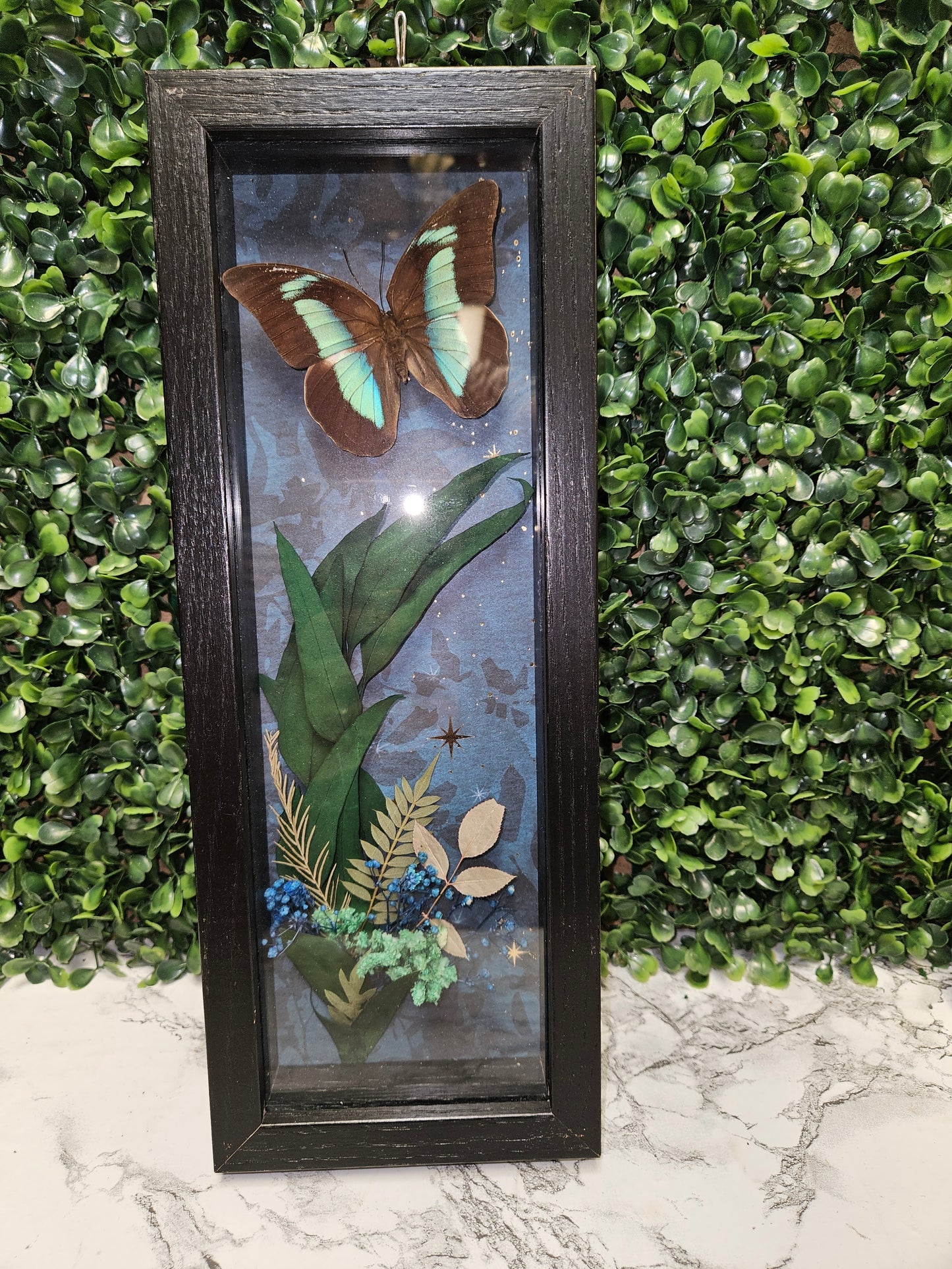 Midnight garden Sparkling cherub butterfly frame