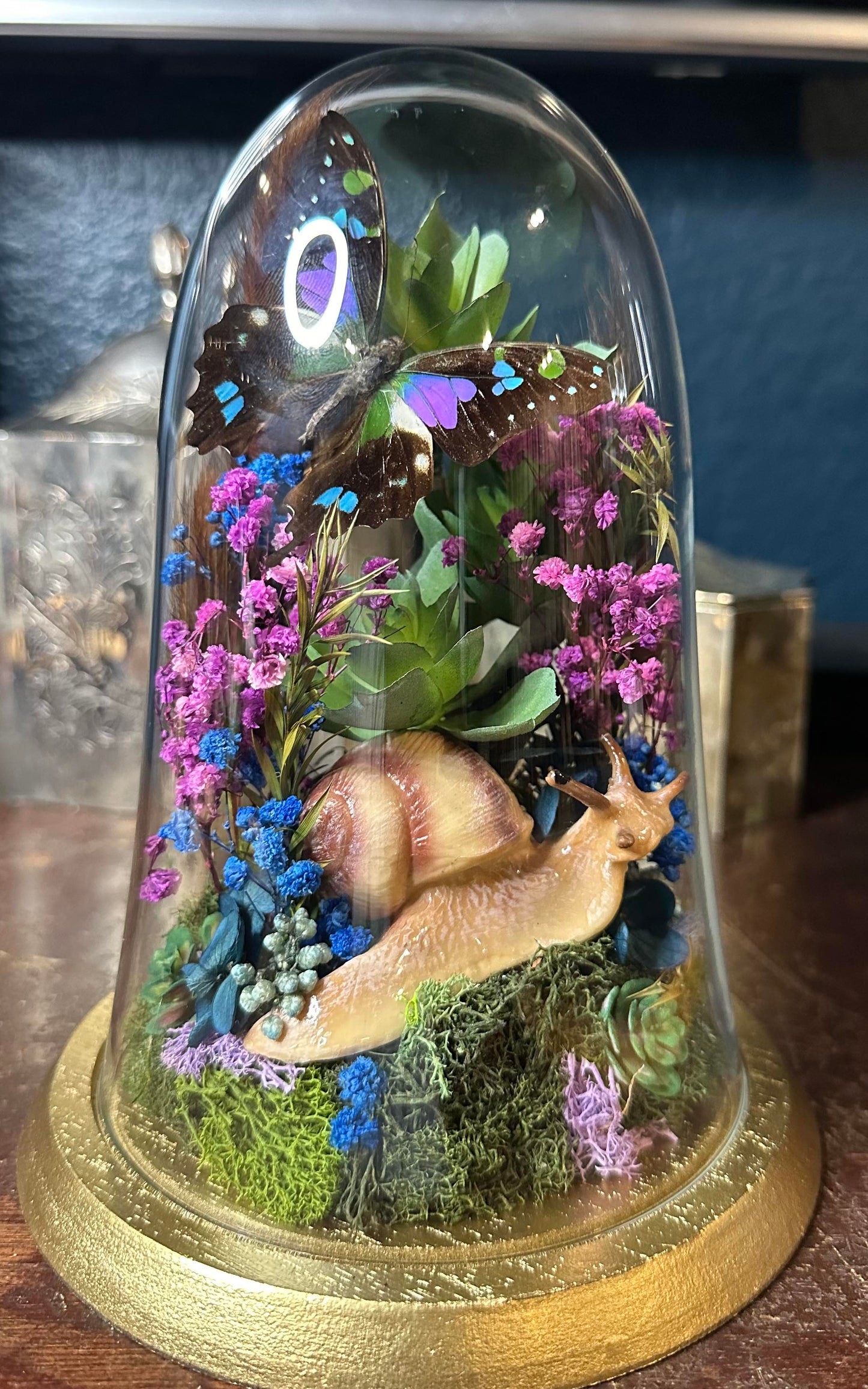 Purple swallowtail snail garden