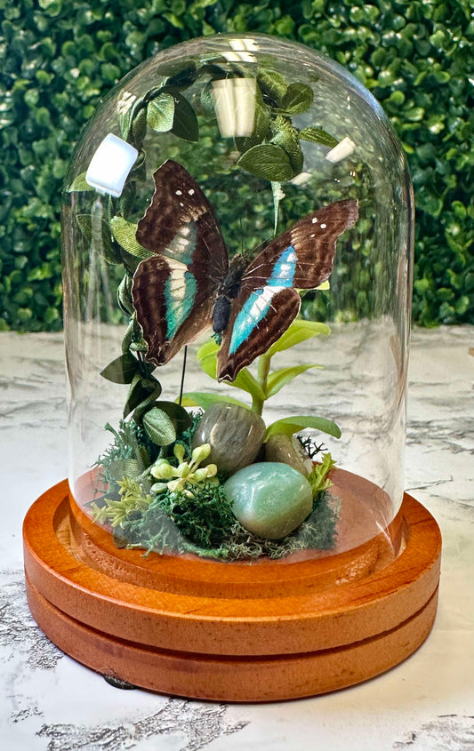 luck & Prosperity Aqua butterfly mini world cloche