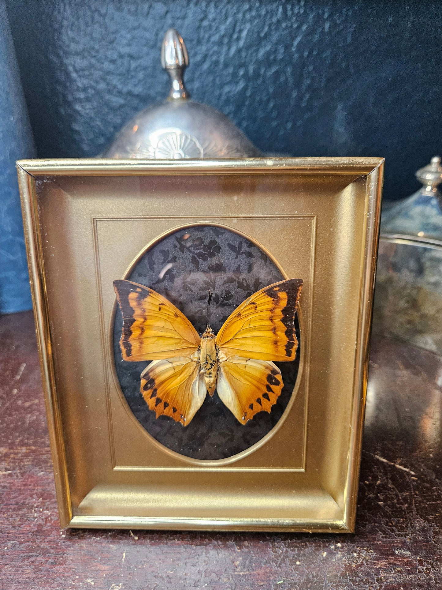 Vintage brass frame orange butterfly with black floral 5x6"