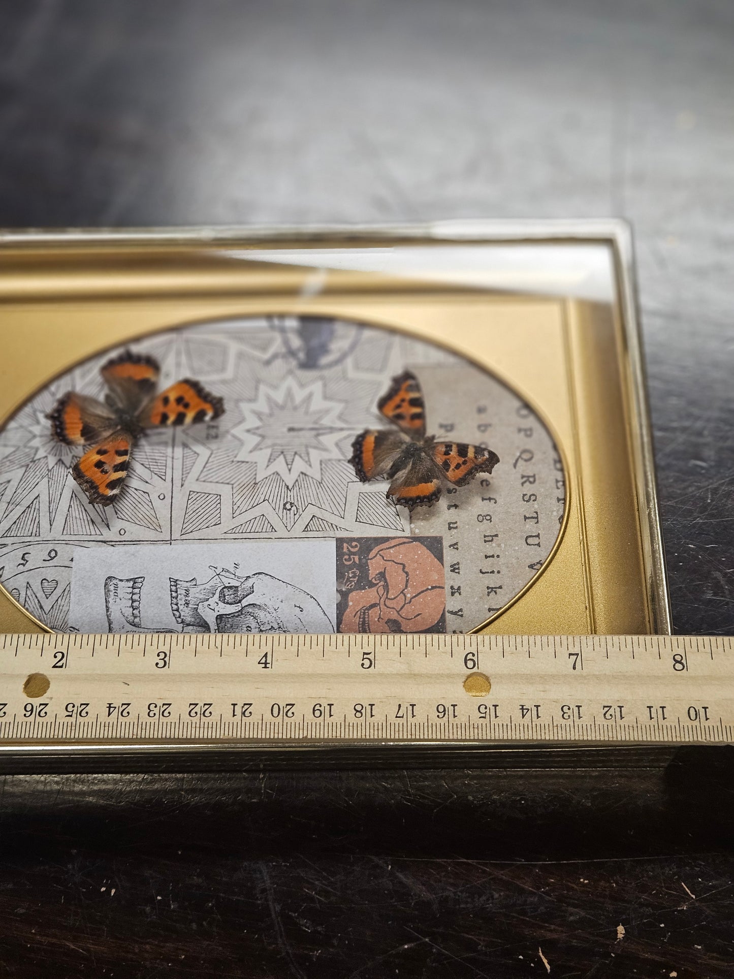 Vintage framed double butterfly - skull scrapbook