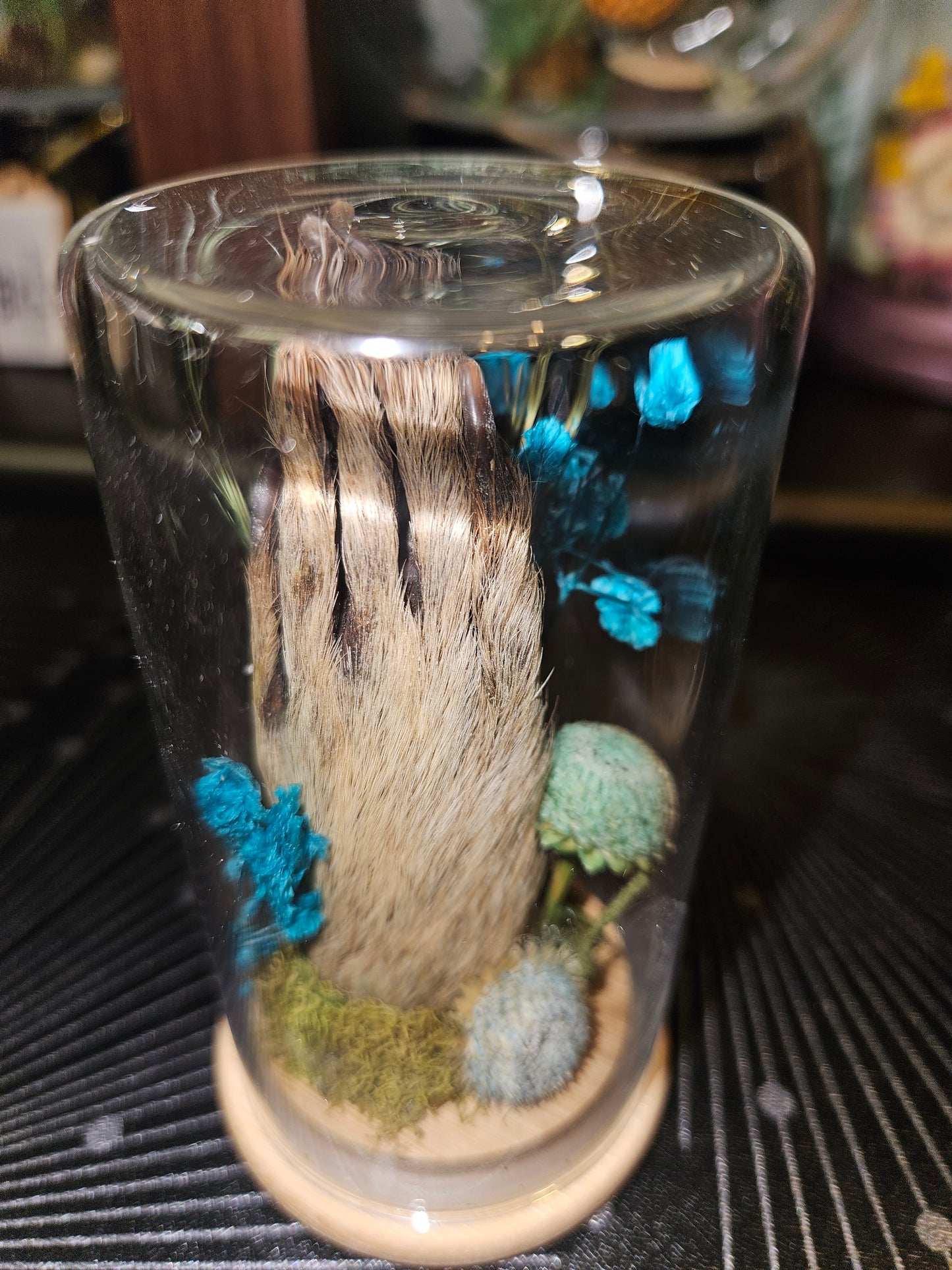 Raccoon paw jar - blue