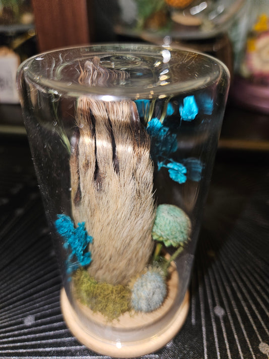 Raccoon paw jar - blue