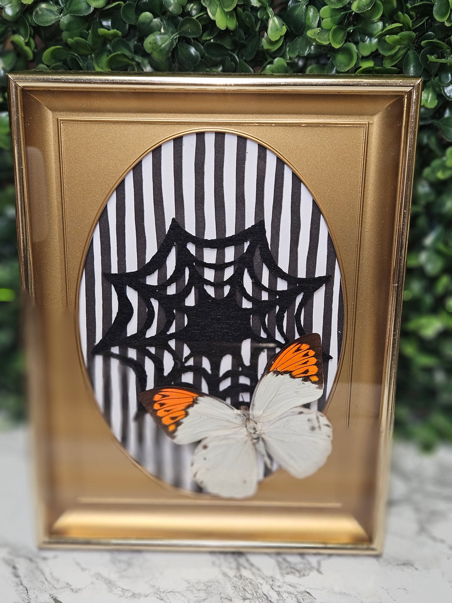 SPIDERWEB ORANGE & WHITE BUTTERFLY FRAME