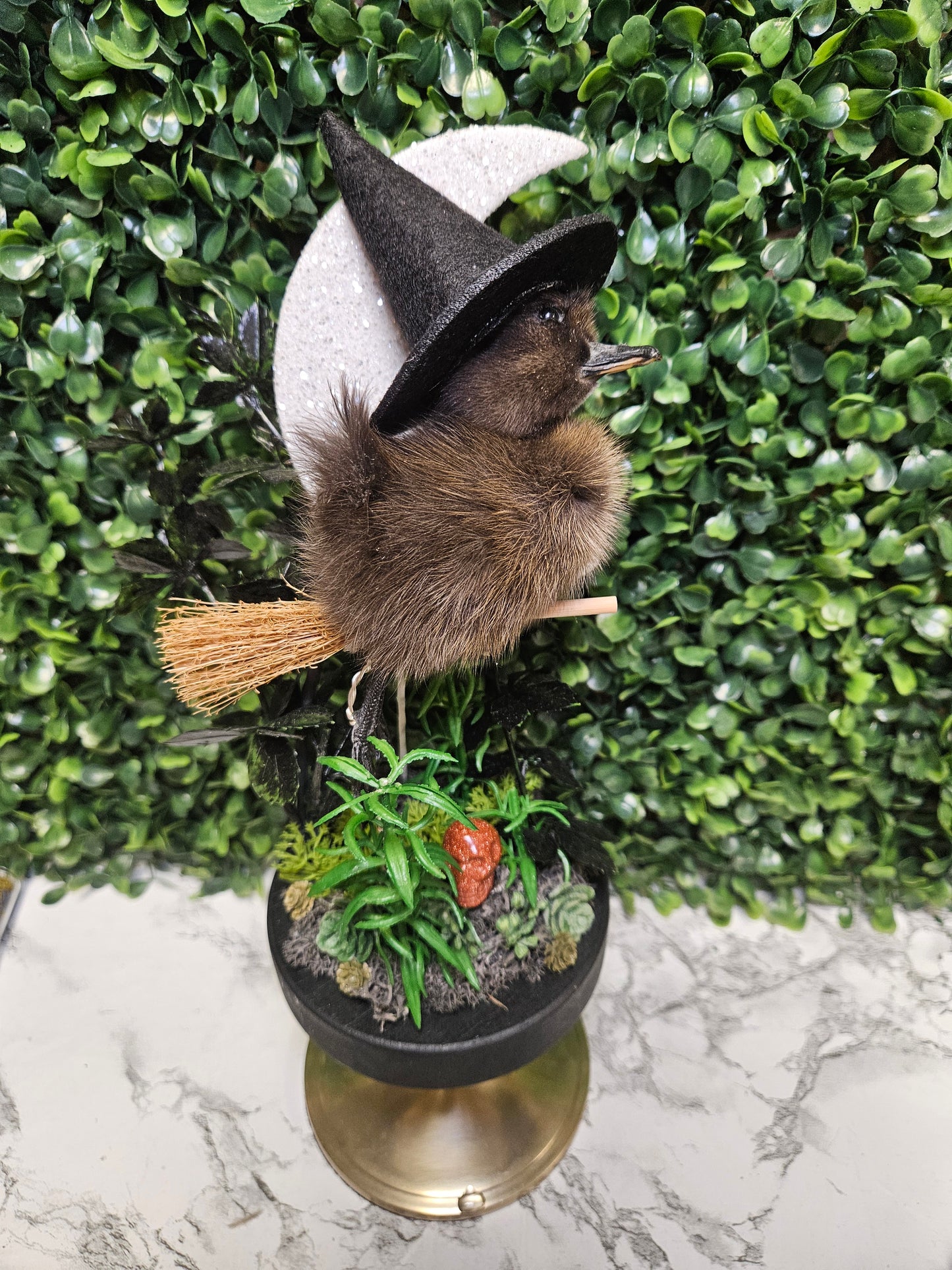 Black Taxidermy flying witch moon duck