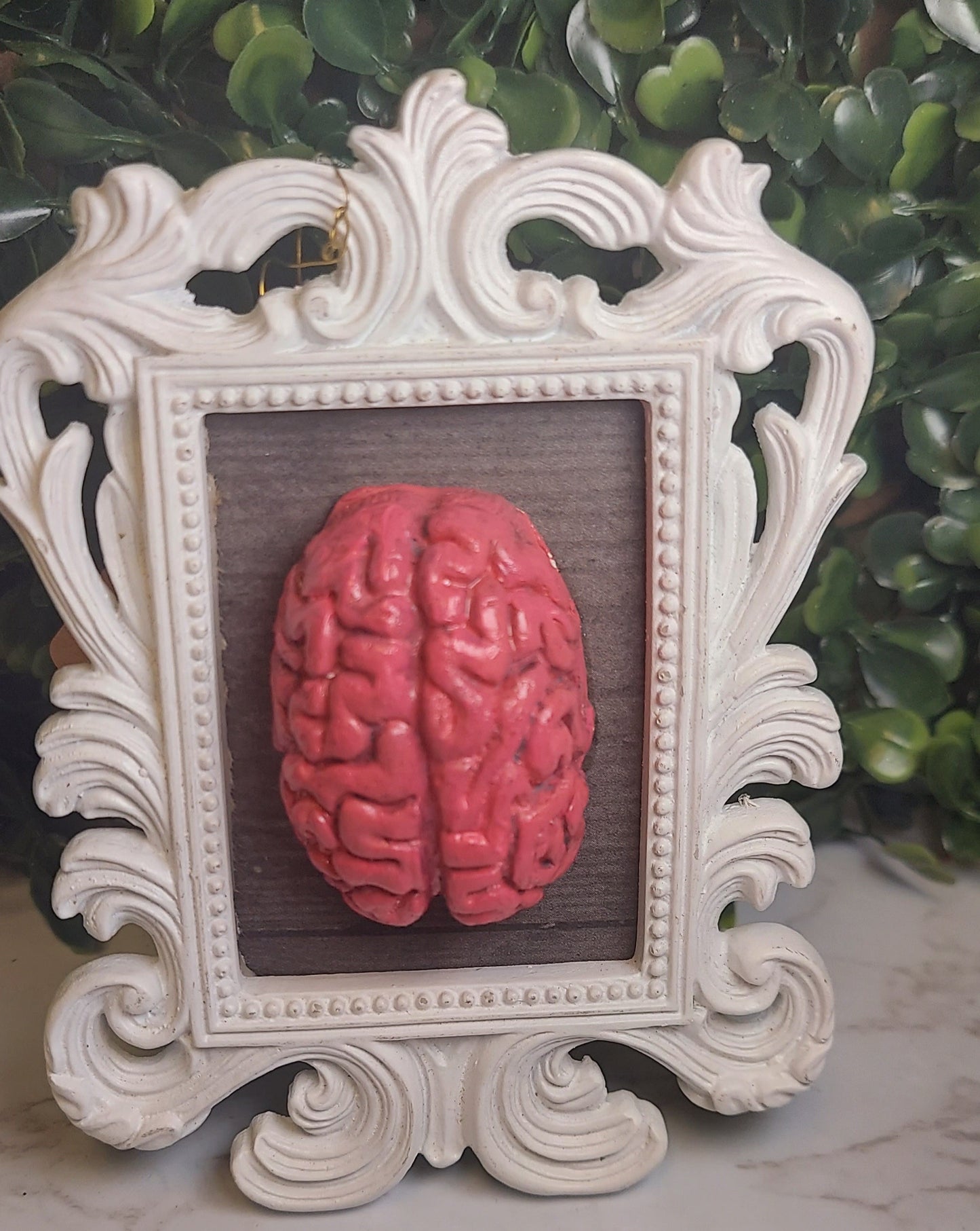 White & pink Brain Frame