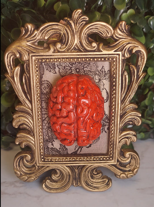 Gold & Red  Brain Frame