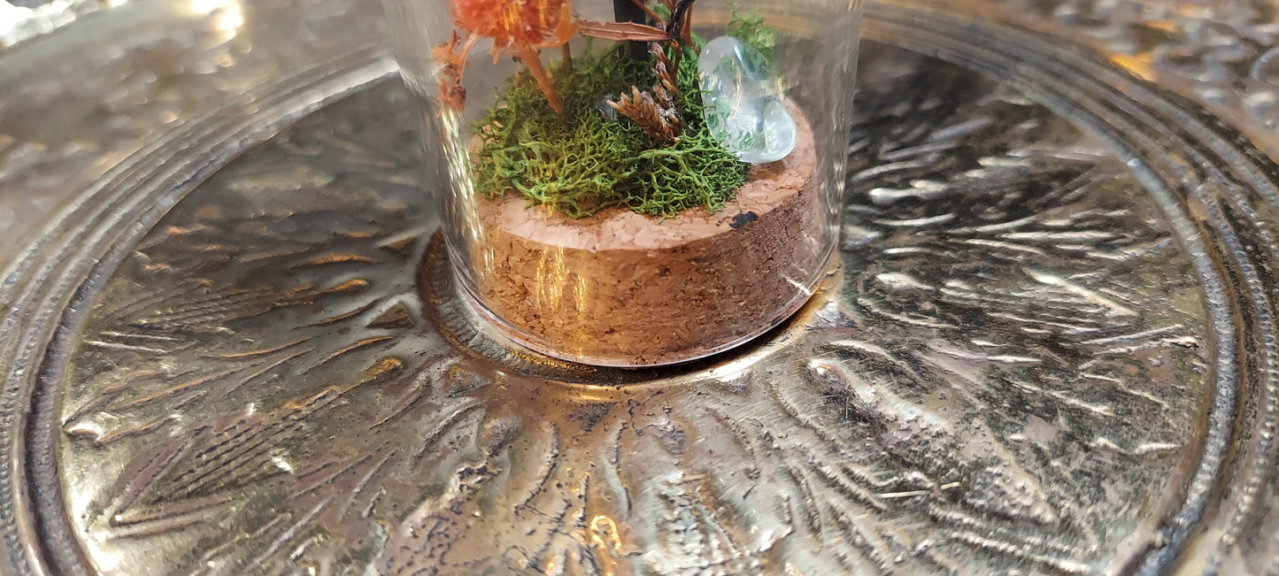 Stag beetle dome dried greenery