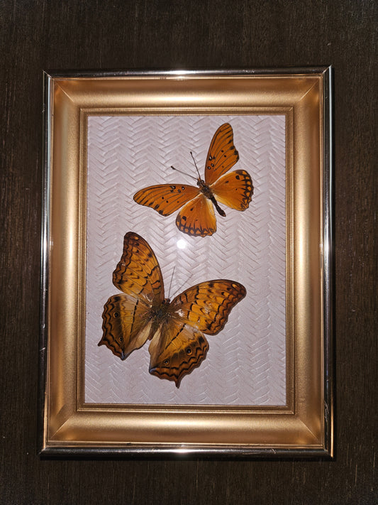5x7 vintage gold frame double butterflies