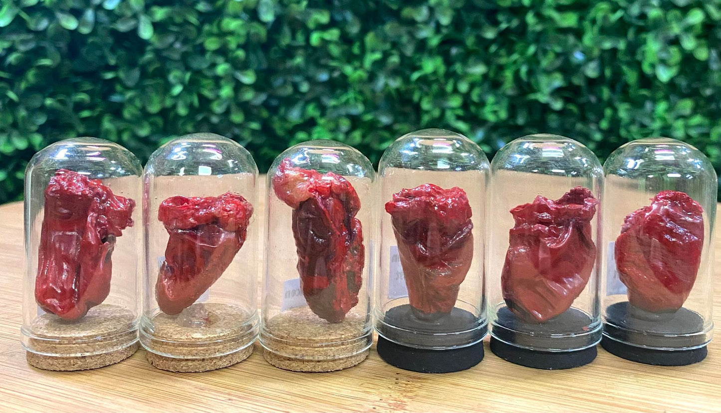 SMALL CLOCHED CHICKEN HEARTS