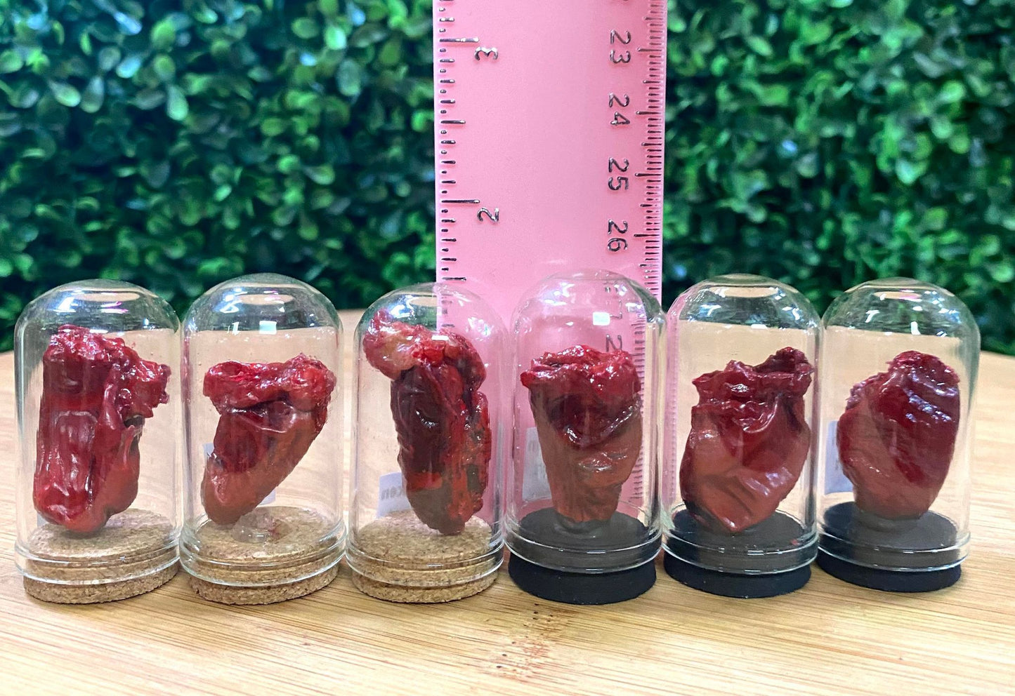 SMALL CLOCHED CHICKEN HEARTS