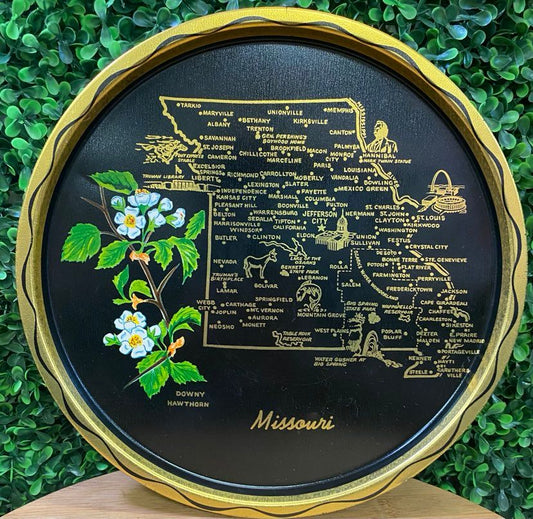 VINTAGE COLLECTOR MISSOURI PLATE
