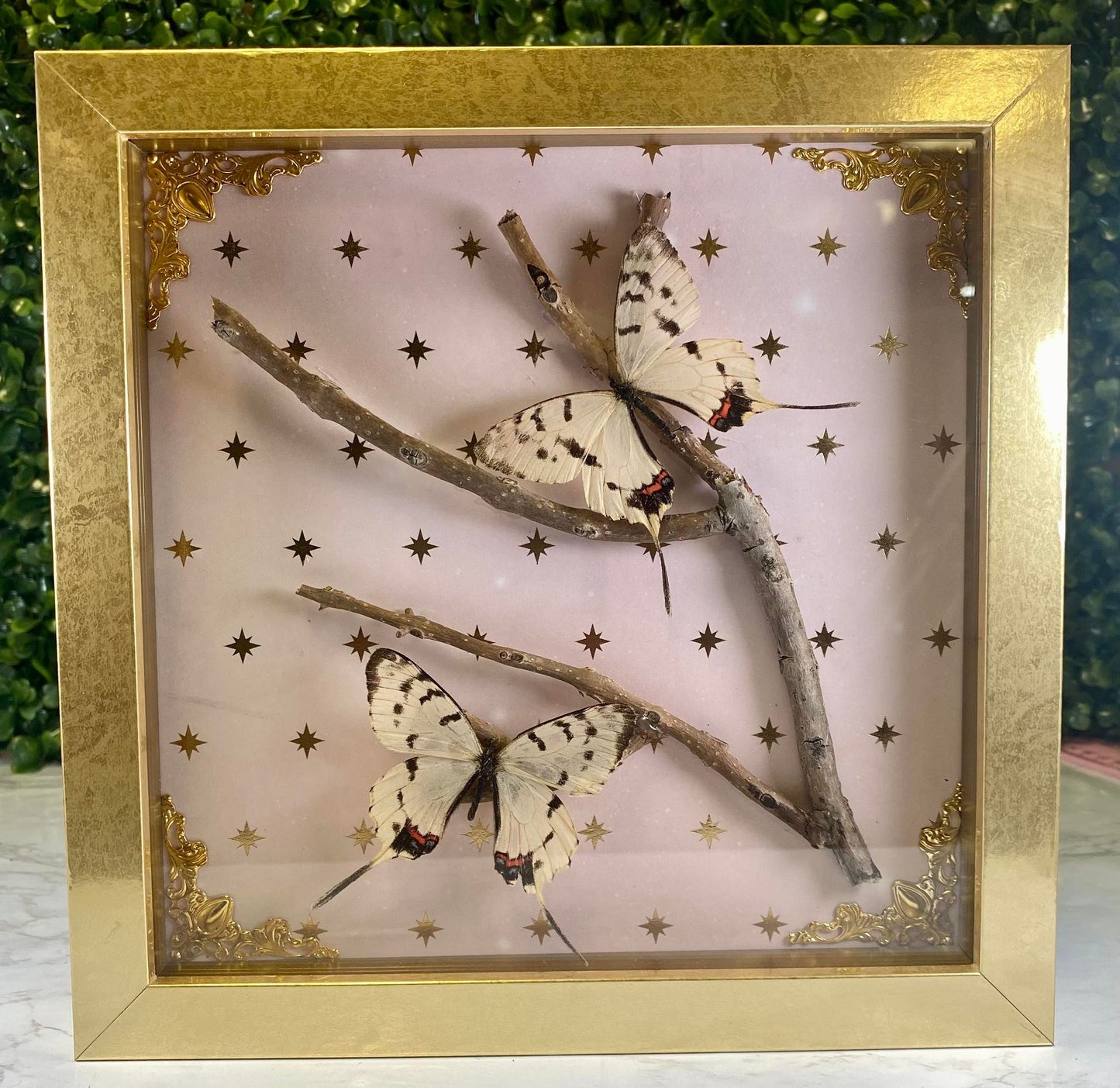 DOUBLE WHITE BUTTERFLY BRANCH - PINK & GOLD STARS - GOLD FRAME
