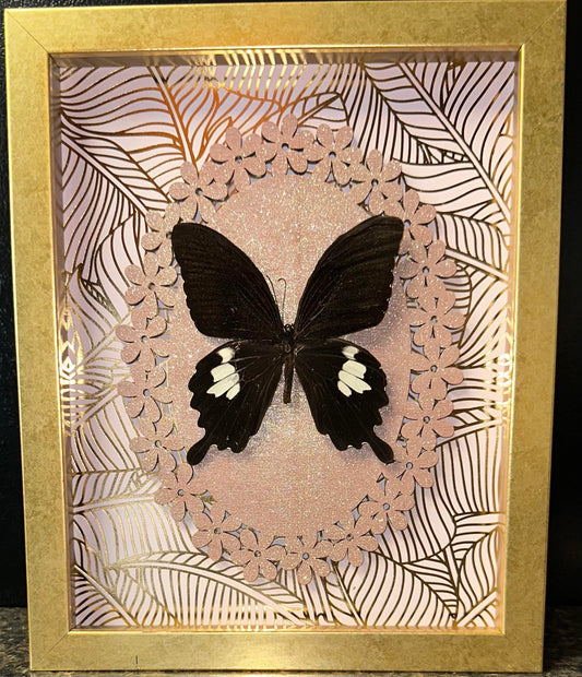 Gold & Pink Framed butterfly