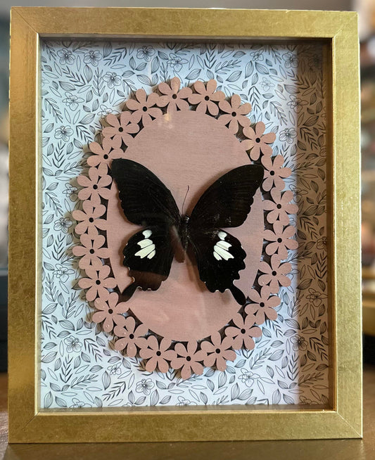 Gold & Pink Framed butterfly